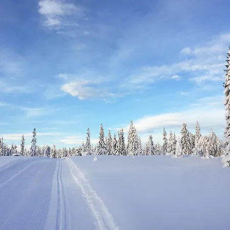 Cozy In With Kitchen Сasa de vacaciones Sjusjoen
