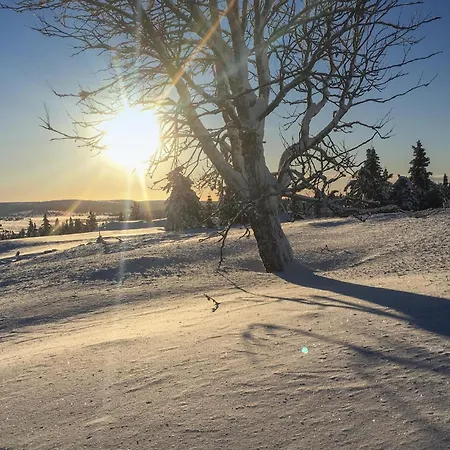 Feriehus Cozy In With Kitchen Sjusjoen