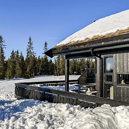 Cozy In With Kitchen Sjusjoen