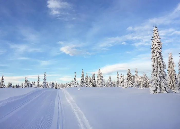 Cozy In With Kitchen Сasa de vacaciones Sjusjoen