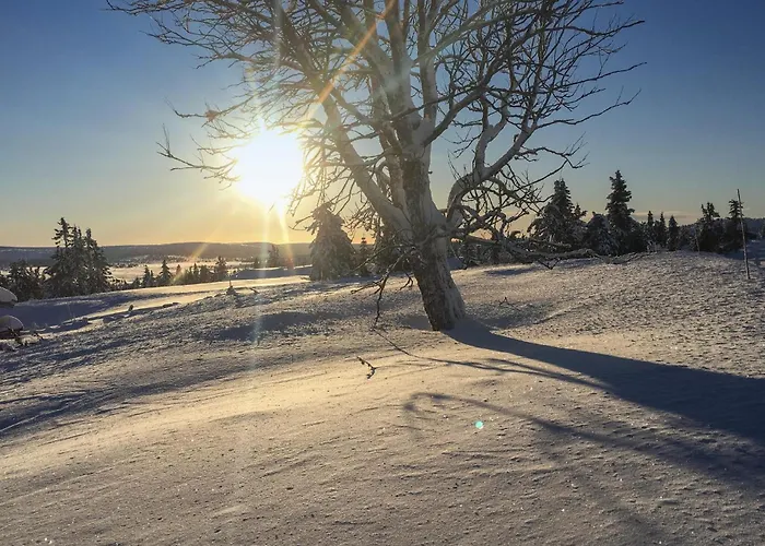 Сasa de vacaciones Cozy In With Kitchen Sjusjoen